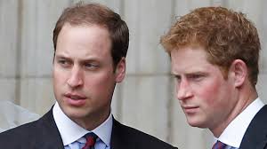Prinz william zeigte sein fußballkönnen bei der feier zum 150.jubiläum des englischen fußballverbands im buckingham palace. Prinzessin Diana Geburtstag Harry Und William Haben Sich Angenahert Stern De
