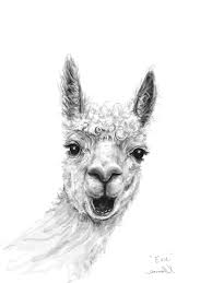 Meet Evie Find Your Name At The Como Te Llamas Project Llamasart Com Llama Painting Llama Drawing Animal Drawings