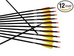 Carbon Arrows 12pcs For Recurve Compound Bow 28 To 32 Inch