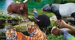 Jelajahi pesona dunia hewan di melaka zoo bersama teman dan keluarga andanikmati berbagai aktivitas menarik seperti pertunjukkan burung, memberi makan gajah, dan masih banyak laginaik tram untuk berkeliling kebun binatang dengan nyamanlihat lebih dari 450 spesies dengan lebih dari 1,200. Melaka Zoo Animals Have Been Mating More Often During Mco Since Visitors Aren T Around