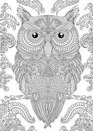 Incredible raw drawing of an owl. Pin On Owls