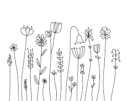 I love how this video includes some easy to follow lettering techniques too, because once i. Cape Wildflowers Wallpaper Line Art Drawings Flower Doodles Flower Drawing
