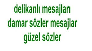 polat alemdar damar sözleri ile ilgili görsel sonucu