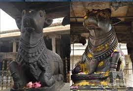 ஆயுஷ்மான் பவ ஜோதிடம் - வித்தியாசமான கோலத்தில் நந்திதேவர் அருளும் தலங்கள் 💚  சிவபெருமானை நோக்கியபடி அருள்பாலிக்கும் நந்திதேவர், சில ...