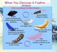 It's a sign from your angel that you are at the cusp of wisdom and knowledge, that you are on the right path to spirituality and enlightenment. Meanings Of Feathers Black White Pink Blue Feathers From Your Angel Feather Meaning Book Of Shadows Spirituality