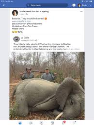 Bill Wall Wjw452 Twitter