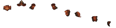 Cookie clicker is mainly supported by ads. What Exactly Do Wrinklers Do Arqade