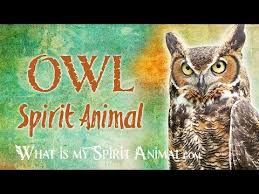 Owl Meaning Owl Symbolism Owl Spirit Animal Owl Spiritual Meaning