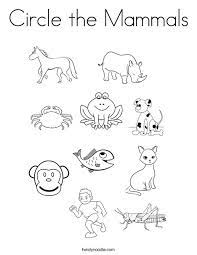 Trending articles similar to mammal coloring pages. Circle The Mammals Coloring Page Twisty Noodle