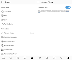 Go to your profile tab once again in the right bottom corner of your ig app. How To Protect Your Privacy On Instagram The Verge
