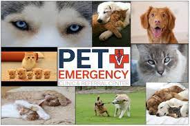 Emergency clinics in tucson arizona. Pet Emergency Clinic Home Facebook