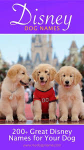 200 Disney Dog Names Getting A New Dog Love Disney This Is The Place For You Dog Names Don T Get Much Mor Disney Pet Names Dog Names Disney Girl Dog Names