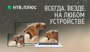 Ntv Plyus Onlajn Tv