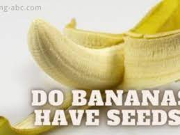 Do Bananas Have Seeds Interesting Facts And Information