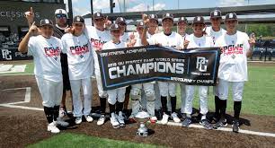 A perfect game in major league baseball is a game in which a pitcher (or combination of pitchers) pitches a victory that lasts a minimum of nine innings and no opposing batter reaches base. 2019 Pg 13u World Series
