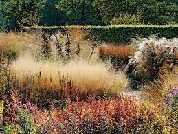 Image Result For Piet Olaf Garden Design Landscape Design Dutch Gardens Urban Garden