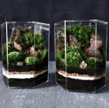 Mewarnai menggambar sekolahan sd gratis gambar mewarnai sekolah sd dapatkan himpunan contoh poster pemandangan untuk mewarna yang. Cara Membuat Taman Bunga Di Kelas Sekolah Yang Sederhana Dan Indah Ilmubudidaya Com