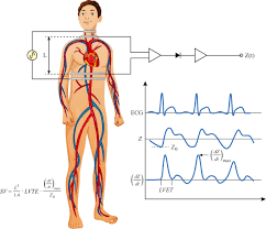 Image result for Blood Volume