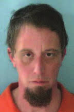 Evanston man guilty of animal cruelty for 2020 Evanston horse shootings