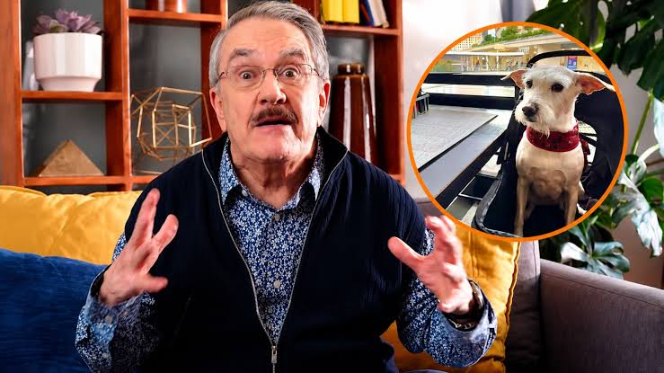 Pedro Sola se disculpa por comentario contra mascotas: “Siento una  vergüenza horrible” - Infobae