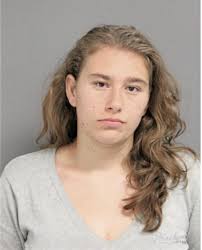 ᐅ Illinois Criminal Records 2009-2026