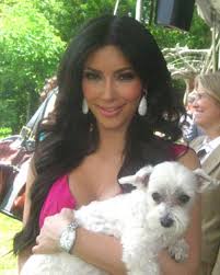 Gwr Day From Kim Kardashian To Kristen Stewart How Lucky The Dog Bagged The Most Celebrity Pictures World Record Guinness World Records Khloe kardashian posted a heartbreaking tribute to her dog, gabbana, after it passes away.