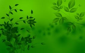 Best 60 Green Backgrounds On Hipwallpaper Green Wallpaper Pink Green Wallpaper And Green Floral Wallpaper We've gathered more than 3 million images uploaded by our users and sorted them by the most popular ones. green backgrounds on hipwallpaper