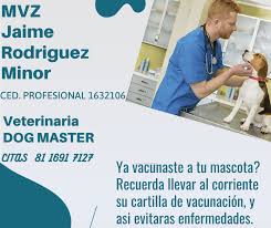 Veterinaria DOG Master