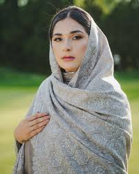 Premium Pashmina Shawl
