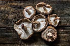 Di dalam mangkuk kecil, gabungkan sos tiram, kicap hitam, wain beras cina atau sherry, gula dan cendawan cendawan yang direndam. Semua Tentang Cendawan Hitam Atau Cendawan Shiitake