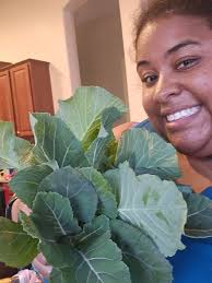 We got a few heavy days of frost here. What is everyone harvesting post  frost?