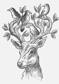 800x564 learn how to draw a crocodile (zoo animals) step by step drawing. How To Draw Animals New For Android Apk Download