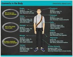 Which Elements Are In The Human Body Infographic Health Human Body Chemistry