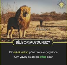 Zeynepazize Adli Kullanicinin Biliyor Muydunuz Panosundaki Pin 2020 Rehber Ogretmen Biliyor Muydunuz Gercekler