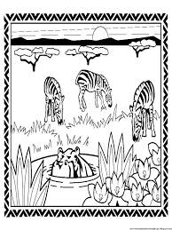 Zebra Coloring Pages | AMP Blogger design