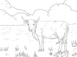 Cattle Coloring Pages Free Coloring Pages Cow Coloring Pages Hereford Cows Farm Coloring Pages