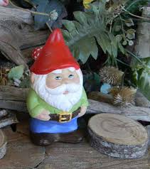 Pin On Gnomes