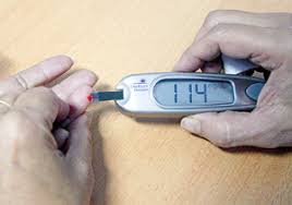 do duong huyet, hạt móc mèo