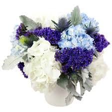 Macrophylla, react to changes in soil ph. Ta 120 Song Of Joy Flower Delivery Singapore