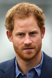 Meghan Markle is savvy enough to make relationship with Prince Harry work...  I hope they make a go of it