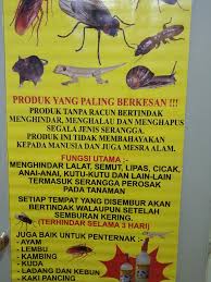 Mereka juga boleh hidup di dalam tanah yang mengandungi zarah kayu. Miracle Spray Penghindar Serangga Kulai Home Facebook
