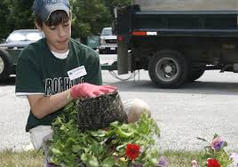 Sylvania colors its summer