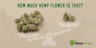There are (±1) 66 pecan half kernels per 1 us cup and 70 of them in 1 metric measuring cup size. How Much Is A Gram Eighth Quarter Ounce Of Cannabis Hemp Flower