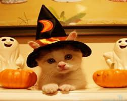 「cute halloween pics」の画像検索結果