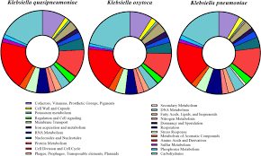 Последние твиты от sheetal iqbal sharma (@mrsheetalsharma). Genomic Appraisal Of Klebsiella Pgpb Isolated From Soil To Enhance The Growth Of Barley Springerlink