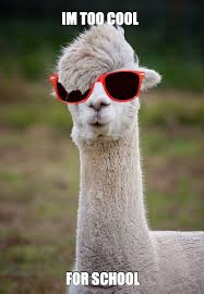 Meme Maker I M Too Cool For School Too Cool For School Cool Stuff Memes