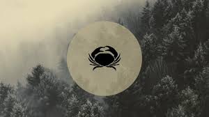 All about cancer cancer ascendant. Cancer December 2020 Monthly Horoscope