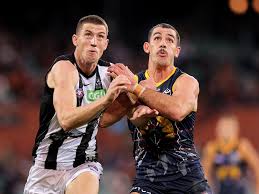 Adelaide crows adel collingwood coll. K51qhgcpebkopm