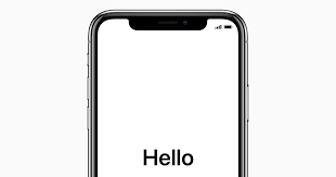Use Accessibility Options To Set Up A New Iphone Ipad Or Ipod Touch Apple Support