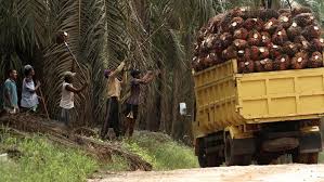 Maybe you would like to learn more about one of these? Pengusaha Ngeluh Soal Larangan Truk Obesitas